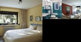 Water Lilly Bungalow