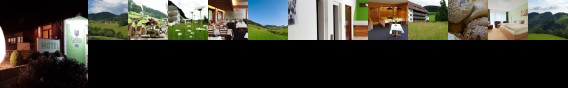 Hotel Krone Fischerbach