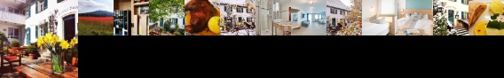 Landgasthof Buttel Geisfeld