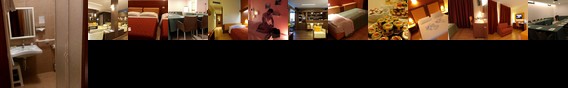 Hotel Villa delle Rose Malpensa