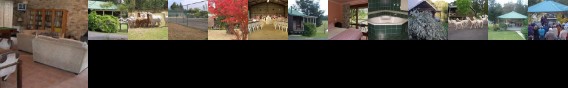 Madison's Mountain Retreat
