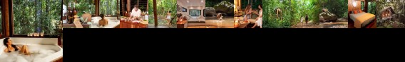 The Canopy Rainforest Treehouses and Wildlife Sanctuary