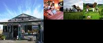Dog Bark Park Inn