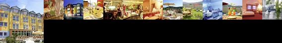 Rebhan's Business und Wellness Hotel