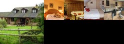 Highway Farm Bed and Breakfast Bridport