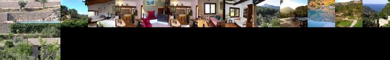 Finca Agroturismo S´Olivar Rural House Estellencs