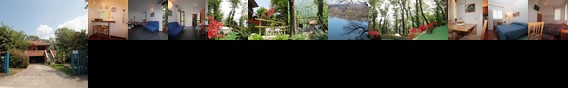 B&B Tana della Volpe