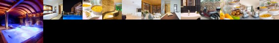 Mercure Olbia Hermaea