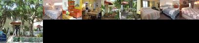 Ibis Bed & Breakfast