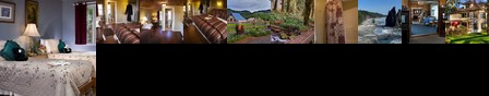 Miller Tree Inn Bed & Breakfast