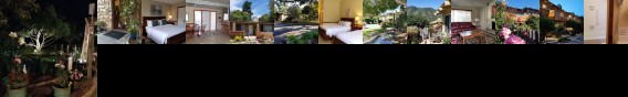 Carmel Valley Lodge