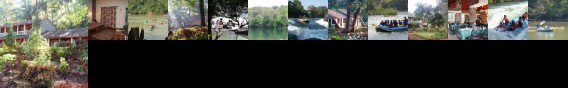 Bison River Resort