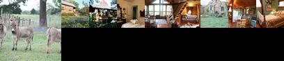 9E Ranch Bed and Breakfast Smithville (Texas)