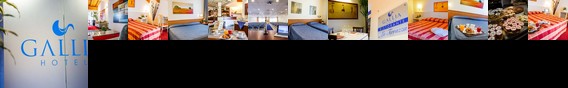 Hotel Gallia Pianezza