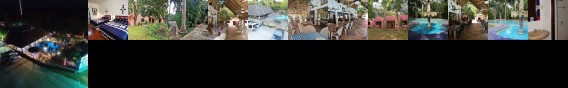 Hotel Dolores Alba Chichen