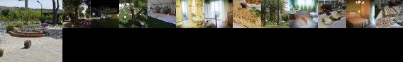 Hotel Ausonia Monte Porzio