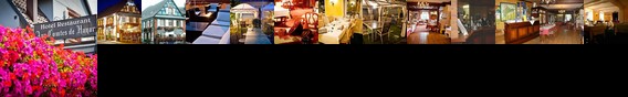 Logis Hotel Aux Comtes De Hanau Ingwiller