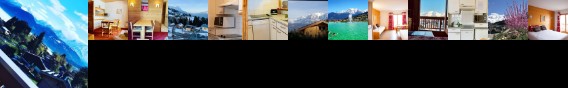 Le Floralp Apartment Combloux