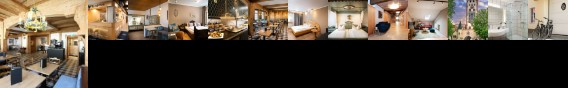 Hotel Goggl