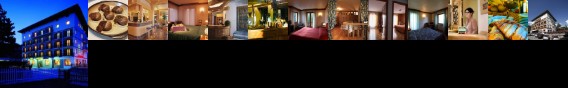 Hotel Panoramique