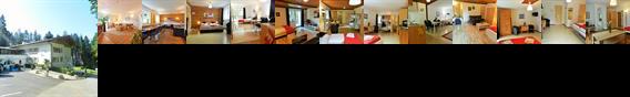 Hartkaiser Pension Appartementen Ellmau