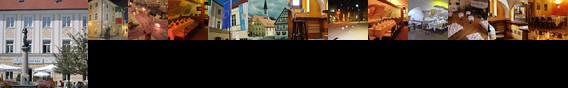 Weisses Ross Garni Hotel