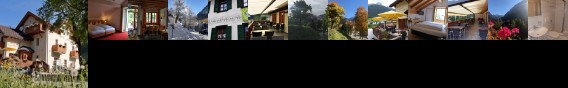 Hotel Ladina