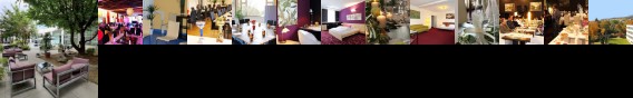 College Garden Hotel Bad Voslau