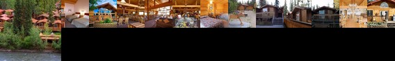 Denali River Cabins