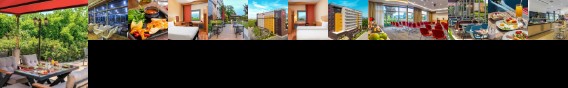 Ibis Bursa