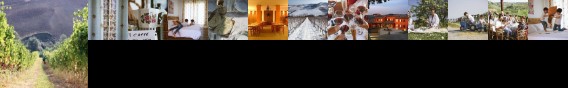 Agriturismo Villa Venti
