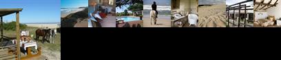 Oyster Bay Lodge Saint Francis Bay