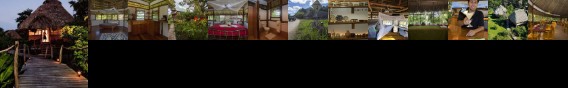 Cotton Tree Lodge