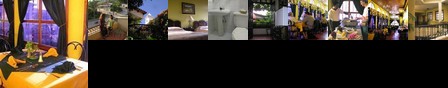 Hotel Plaza Copan