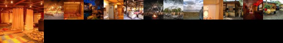 Shkedi's Camplodge