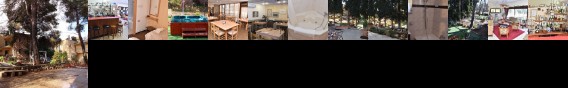 Safed Inn