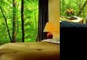 New England Center Hotel Durham (New Hampshire)