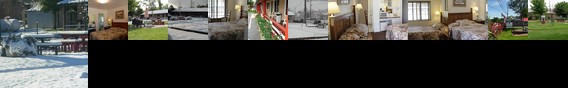 Jumping Frog Motel