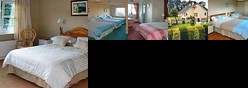 Holly Grove Bed & Breakfast