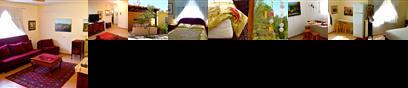 Premier Dead Sea Bungalows