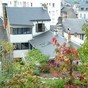 Au chat ronfleur