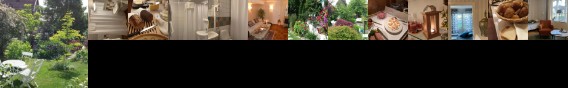 Nya Pallas Hotel