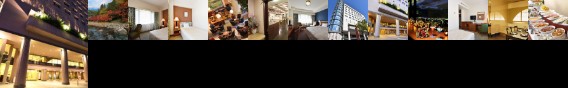 Hotel Crown Palais Chiryu