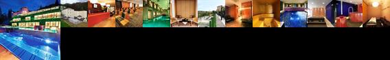 Hotel Zdraviliski Dvor Rimske Toplice