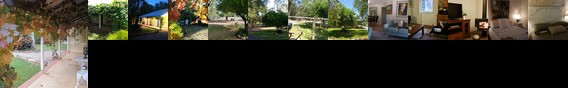 Amy's House B & B