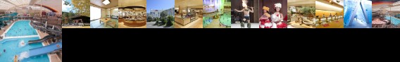 Hotel Hawaiians
