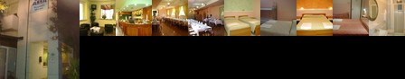 Hotel Asia Senigallia
