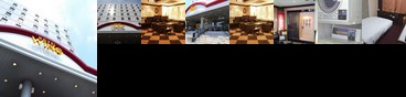 Miyakonojo Wing International Hotel
