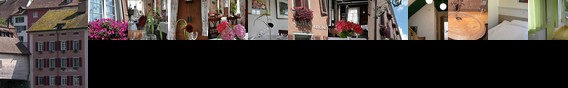 Hotel Krone Diessenhofen