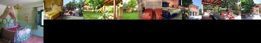 Viadelcampo B&B Monte San Vito
